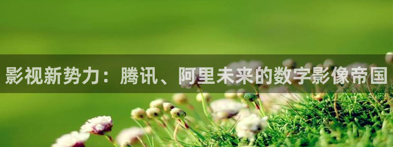熊猫电视报价：影视新势力：腾讯、阿里未来的数字影像帝国