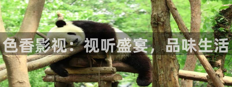 熊猫影院网：色香影视：视听盛宴，品味生活
