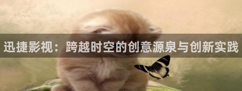 熊猫旅馆：迅捷影视：跨越时空的创意源泉与创新实践