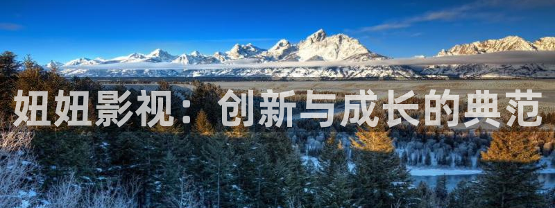 熊猫包：妞妞影视：创新与成长的典范