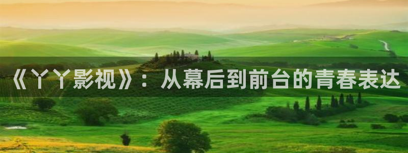 熊猫高清在线观看