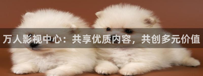熊猫电视官网