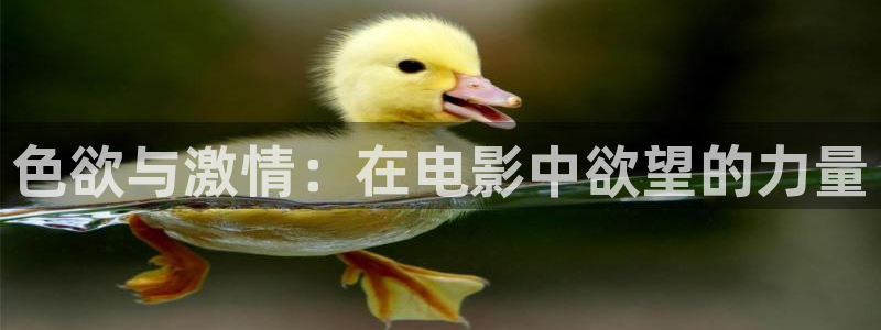 熊猫电影在线：色欲与激情：在电影中欲望的力量