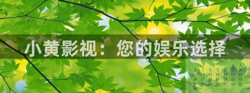 熊猫电影y8y8