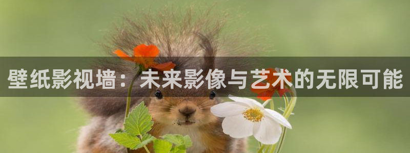 熊猫电影yy8y3免费观看最新一：壁纸影视墙：未来影像与艺术的无限可能