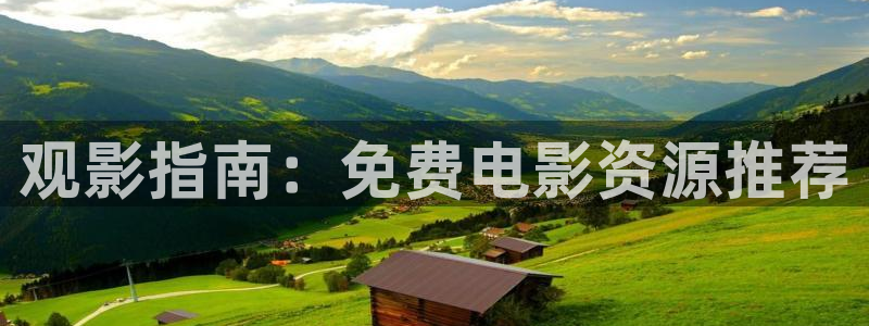 电影 熊猫