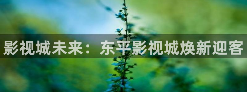 熊猫熊猫熊猫熊猫熊猫：影视城未来：东平影视城焕新迎客